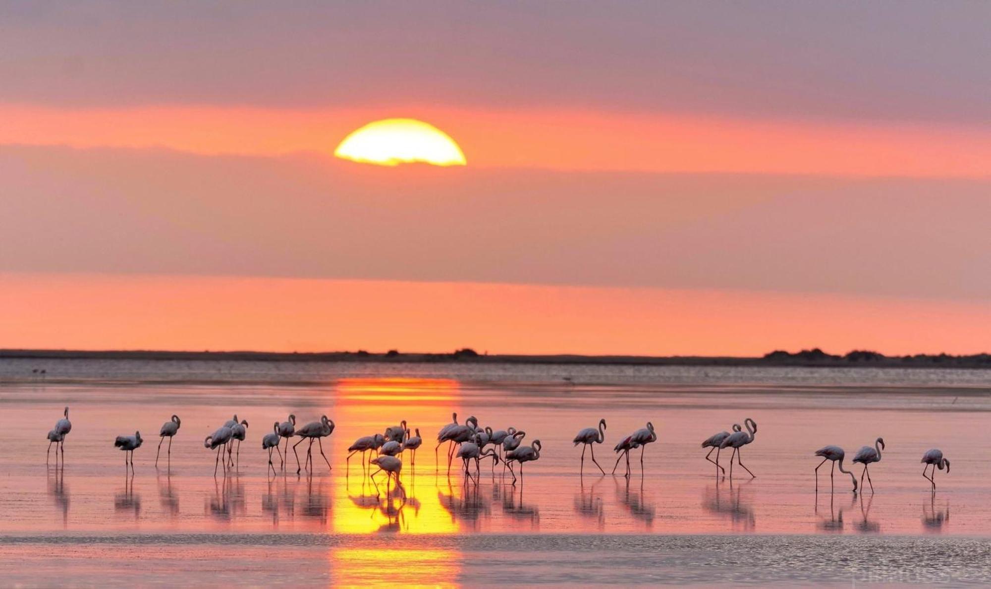 Apartamento Vallfogona Relax Santa Bárbara エクステリア 写真